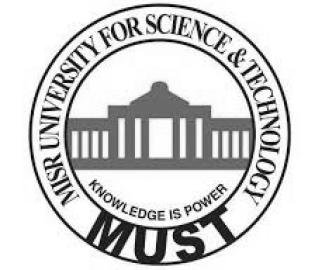 جامعة مصر للعلوم والتكنولوجيا